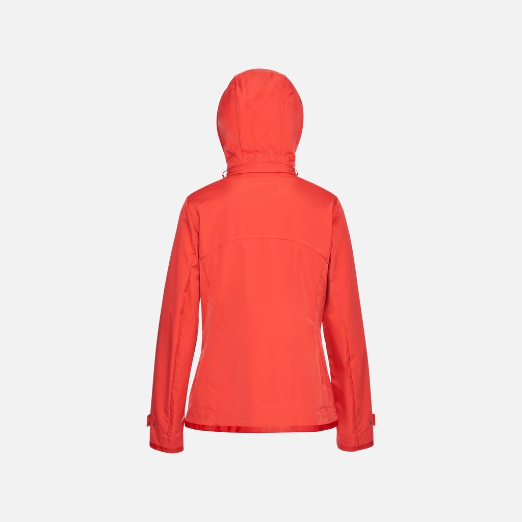 Jacket with hood SPHERICA WOMAN High risk red - image number 5 | GEOX