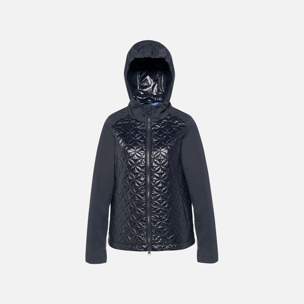 Vêtements Spherica Femme Bleu/bleu