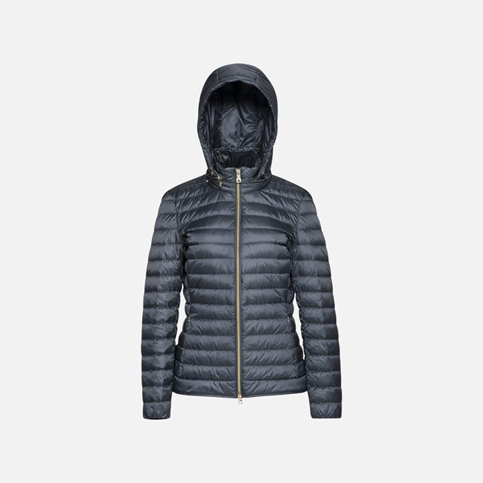 Short down jacket JAYSEN WOMAN Sky captain | GEOX