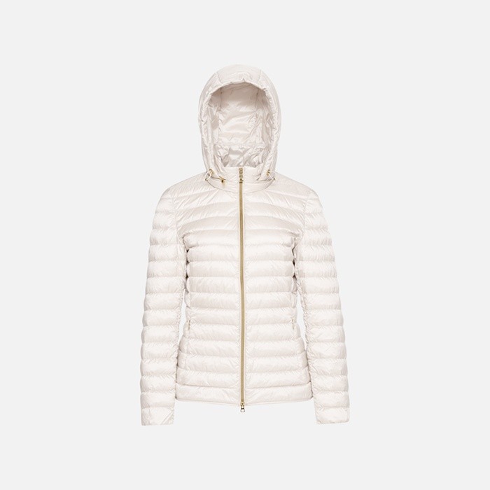 Short down jacket JAYSEN WOMAN Moonbeam | GEOX