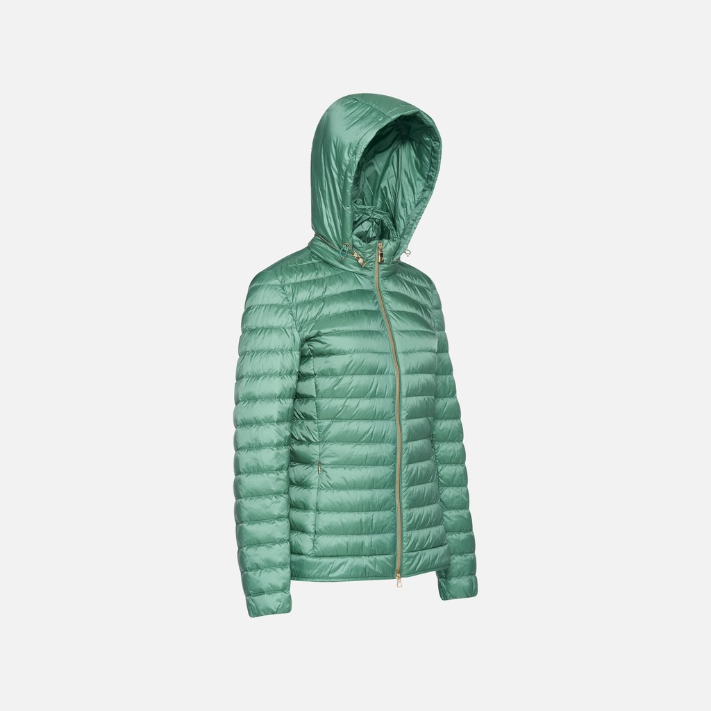 Short down jacket JAYSEN WOMAN Bottle green - image number 4 | GEOX