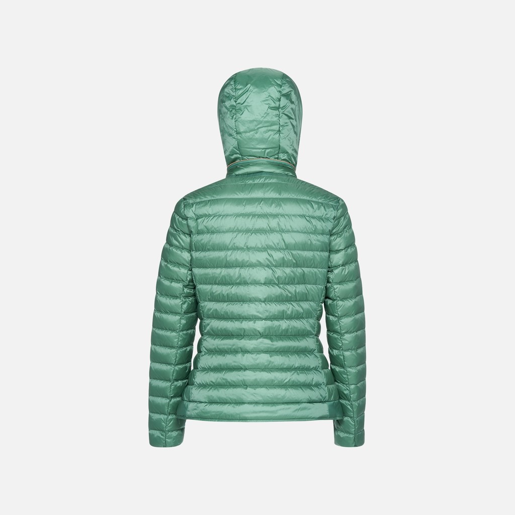 Short down jacket JAYSEN WOMAN Bottle green - image number 5 | GEOX