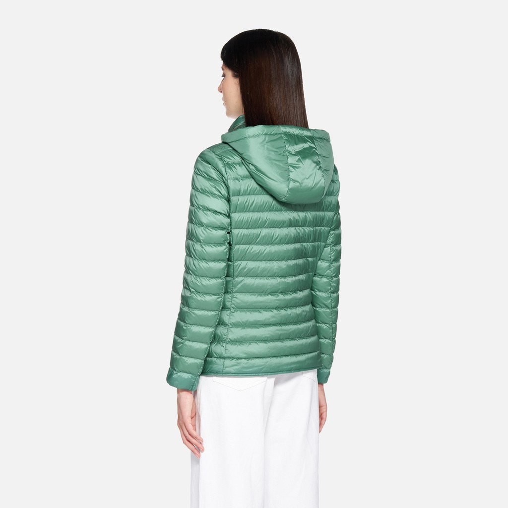 Short down jacket JAYSEN WOMAN Bottle green - image number 2 | GEOX