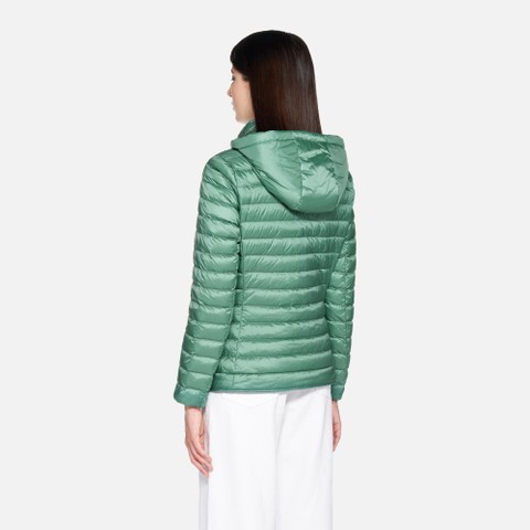 Short down jacket JAYSEN WOMAN Bottle green - image number 2 | GEOX