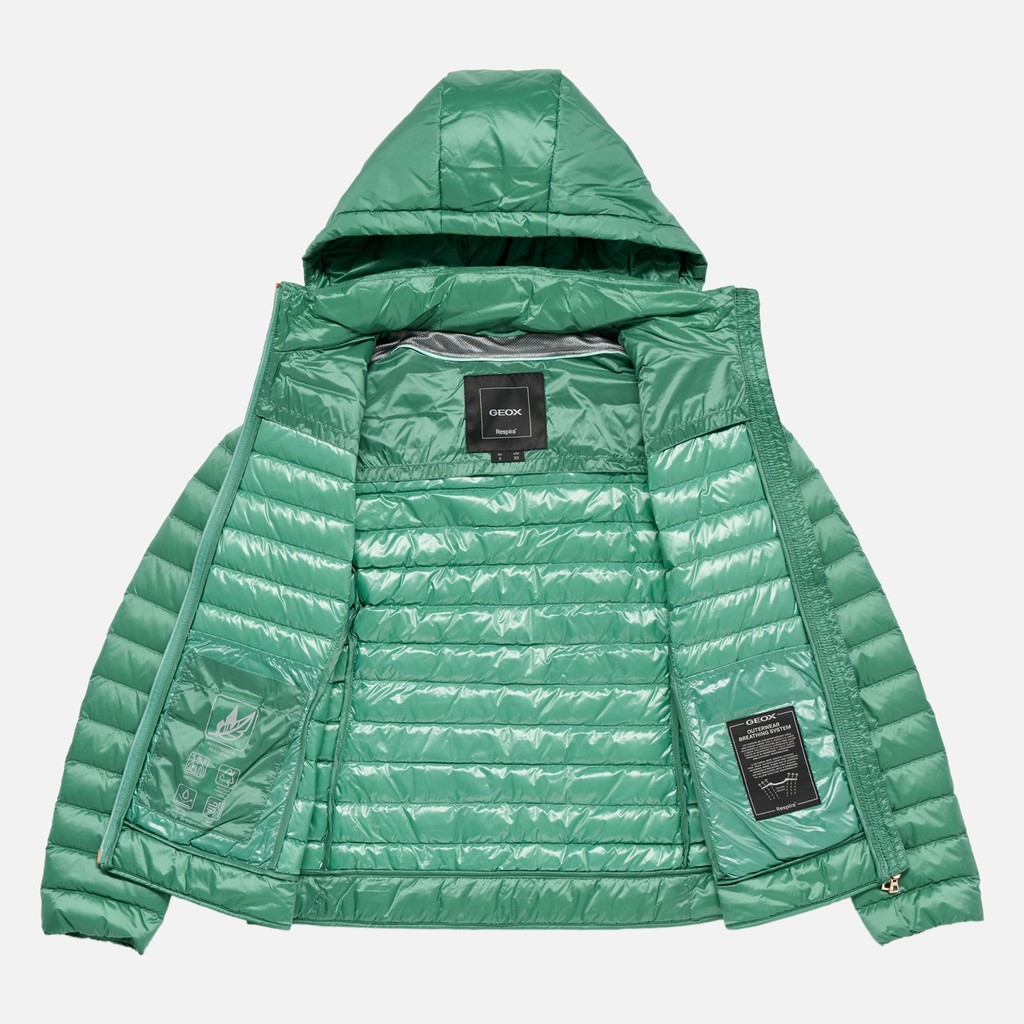 Doudoune courte JAYSEN FEMME Vert moyen - image number 9 | GEOX