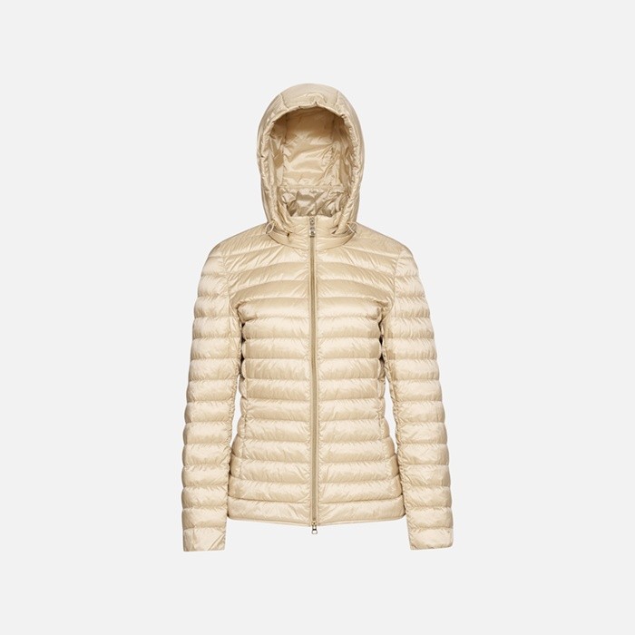 Short down jacket JAYSEN WOMAN Oxford tan | GEOX