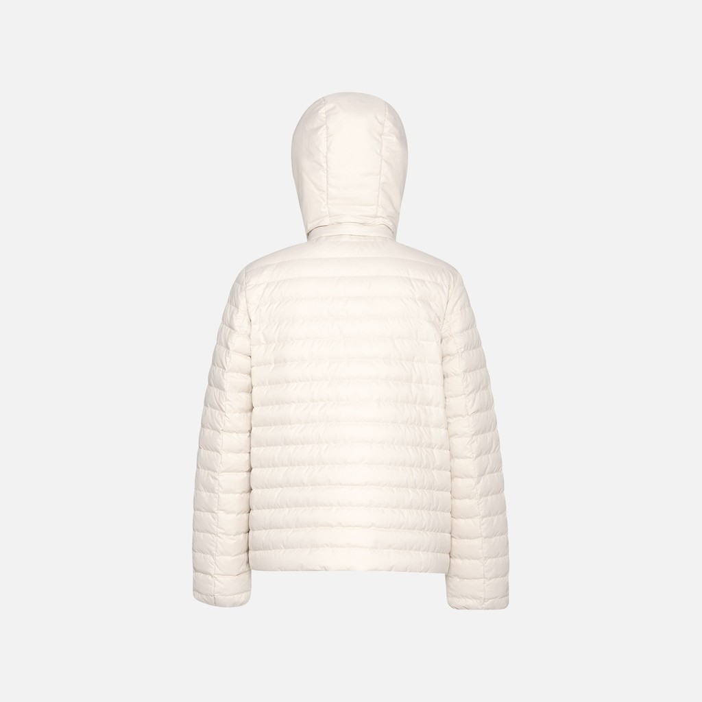 Short down jacket MYLUSE WOMAN Moonbeam - image number 2 | GEOX
