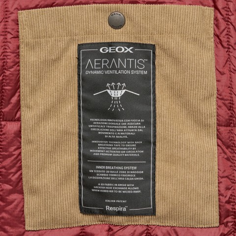 Cotton jacket GRAISY WOMAN Nougat - image number 8 | GEOX