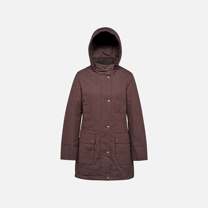 Cotton jacket GRAISY WOMAN Chocolate plum | GEOX