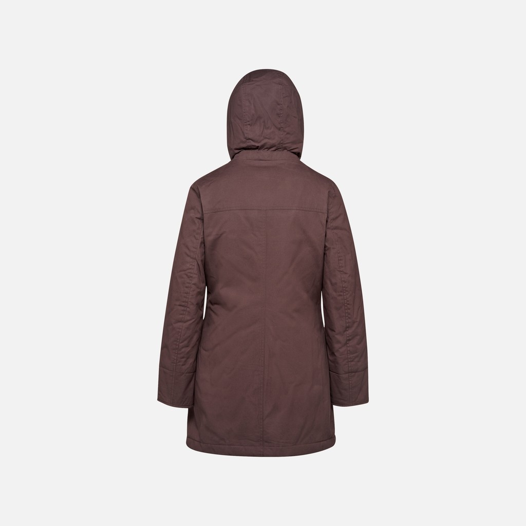 Cotton jacket GRAISY WOMAN Chocolate plum - image number 3 | GEOX