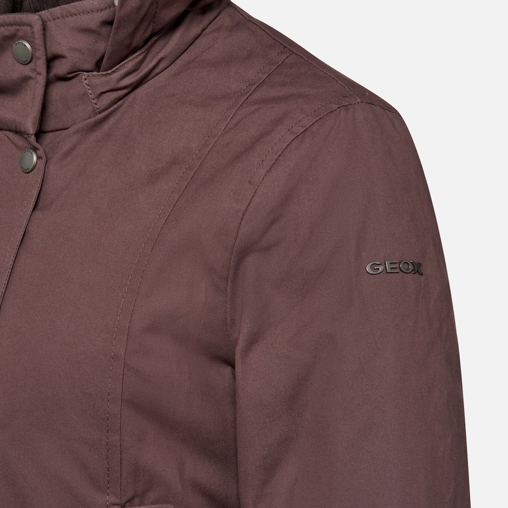 Cotton jacket GRAISY WOMAN Chocolate plum - image number 5 | GEOX