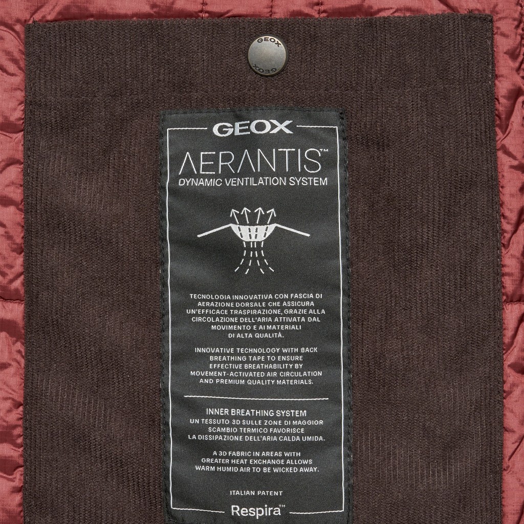 Cotton jacket GRAISY WOMAN Chocolate plum - image number 8 | GEOX