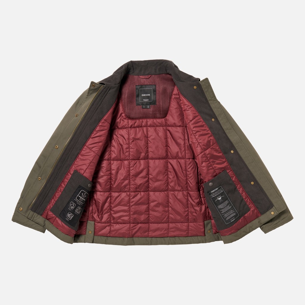 Cotton jacket GRAISY WOMAN Grape leaf - image number 13 | GEOX