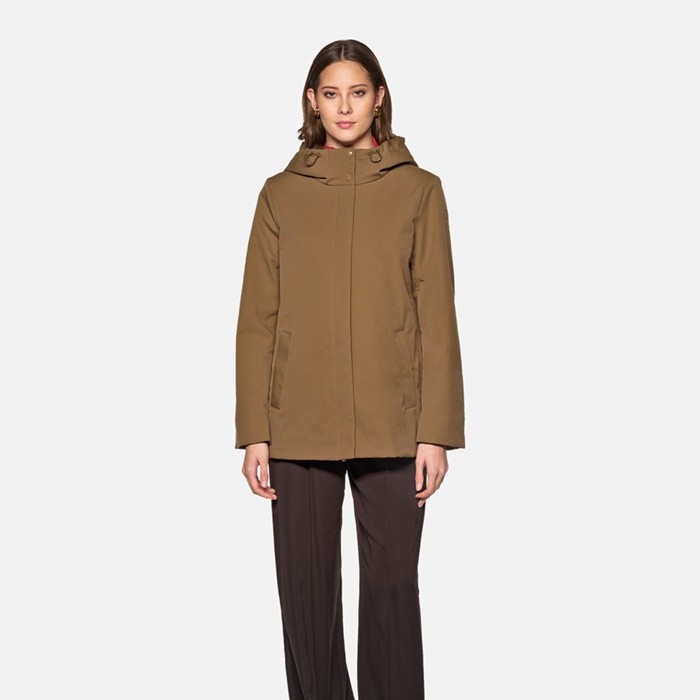 Steppparka SPHERICA DAME Haselnussbraun | GEOX