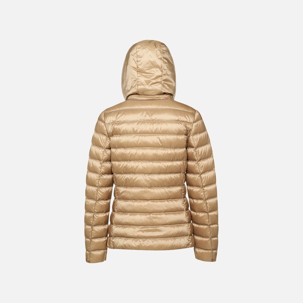 Quilted down jacket JAYSEN WOMAN Nougat - image number 7 | GEOX