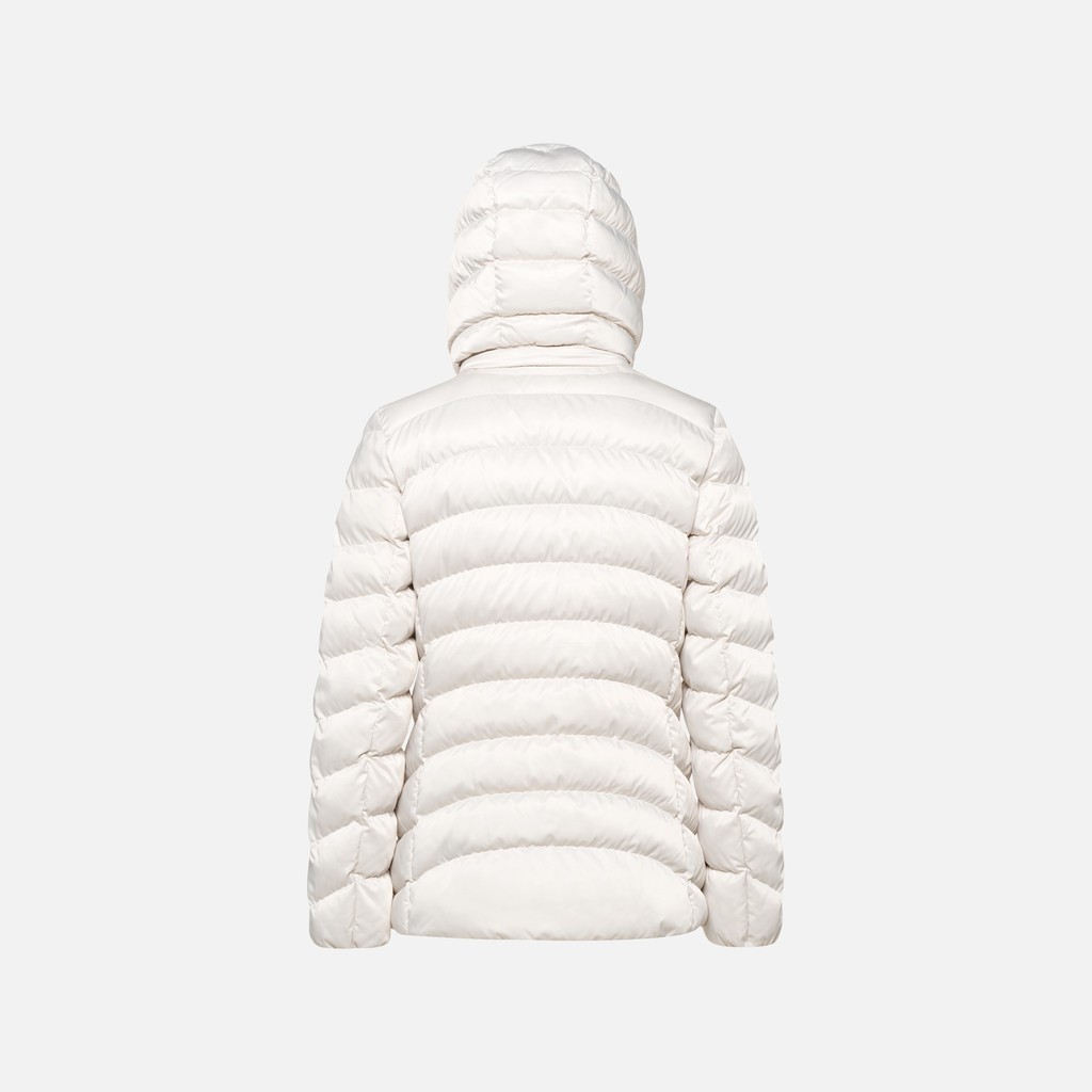 Quilted jacket ZOSMA WOMAN Moonbeam - image number 6 | GEOX